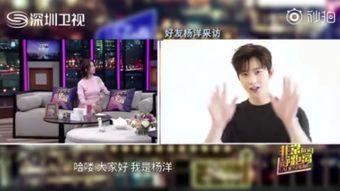 网友爆料吃货视频,吃货视频带你领略美食世界