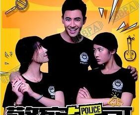 警察锅哥二在线观看,在线追捕，正义再起