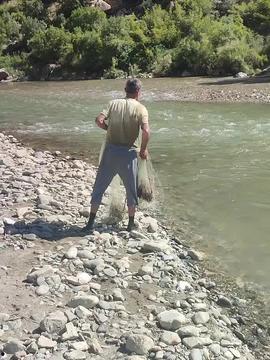 捡鱼赶海视频爆料,海浪中的惊喜瞬间！